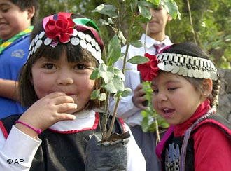 Zwei Mapuche-Kinder