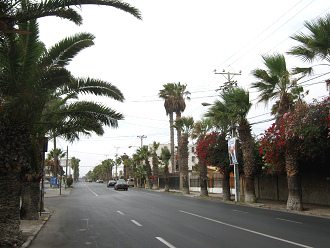 Avenida 18 de Septiembre con palmeras