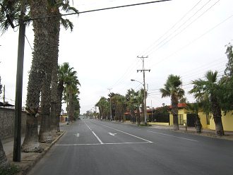 Avenida 18 de Septiembre con palmeras