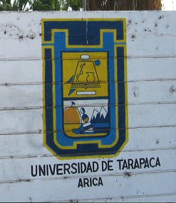 Das Logo der Universitt
                                  Tarapac, Nahaufnahme