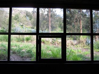 Grosses Holzfenster mit Sicht auf Feld,
                          Wiese und Wald