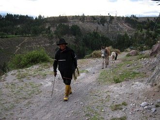 Bauer mit Esel und Schaf im Schlepptau