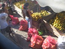 Huaquillas, mercado de calle (07), puesto
                          de naranjas