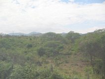 Panamericana en Ecuador del Sur entre
                          Huaquillas y Guayaquil, prado con selva con
                          cerros de la selva (01)
