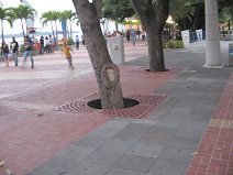 Guayaquil, Promenade 2000, Baumscheiben in
                        Rot