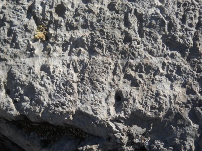 Cusco Sacsayhuamn, Amphitheater: gefrster Stein mit einem Thron auf der Wiese 01, Nahaufnahme des Throns - Nahaufnahme der gefrsten Oberflche 01
