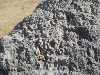 Cusco Sacsayhuamn, Amphitheater: gefrster Stein mit einem Thron auf der Wiese 01, Nahaufnahmen der gefrsten Oberflche 02