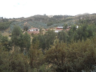 Cusco Sacsayhuamn 13, der Spaziergang zur "Zone X" (Laco, Mondtempel): Bauernhof am Waldrand