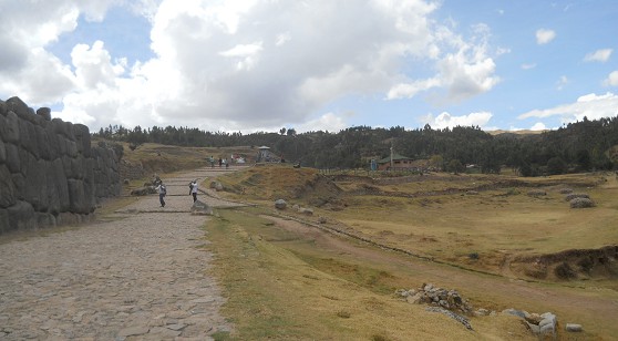 Cusco Sacsayhuamn 16: Der Weg zurck nach Cusco, Strasse mit Wiese und Wald 01