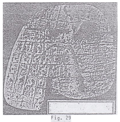 Fig.
                                29: Hgado humano en un modelo de
                                arcilla