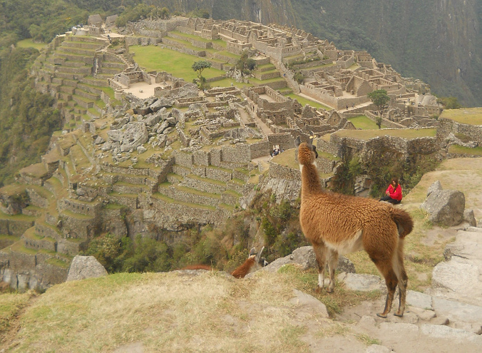 vicua con Machu Picchu (cantera
                    grande, templos, pirmide del sol, zona de la piedra
                    sagrada, casitas de obra, plaza central, templo de
                    espejos o morteros, muros grandes, prisin en forma
                    de un guila)