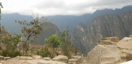 Botanischer Garten in Machu Picchu: Strucher mit dem Putucusi-Berg und weiteren Bergen im Hintergrund
