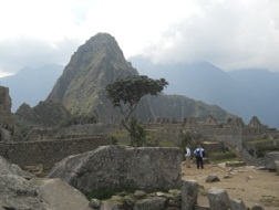 Der grosse Steinbruch von Machu Picchu mit der Sicht auf einen Baum und den Hausberg Huaynapicchu
