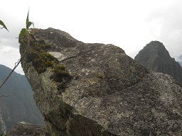 Der grosse Steinbruch von Machu Picchu: Steinspitze mit flachen Bruchflchen mit Moos