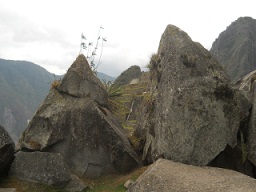 Der grosse Steinbruch von Machu Picchu: Geschnittene Gigasteine