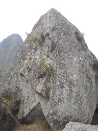Der grosse Steinbruch von Machu Picchu: Gigastein mit rechtwinkligem Schnitt
