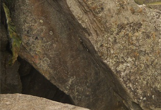 Der grosse Steinbruch von Machu Picchu: Gigastein mit rechtwinkligem Schnitt mit einem Wiesel - Nahaufnahme