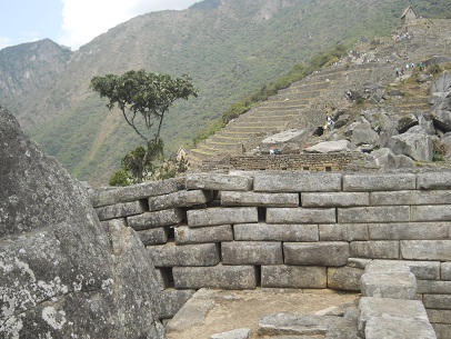 Machu Picchu, Meditationszimmer: Die Sicht ber die Seitenmauer mit dem Baum und Terrassen des Landwirtschaftssektors mit dem Pausenhuschen oben
