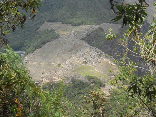 Wanderweg auf den Hausberg Huaynapicchu, Sicht
                    auf Machu Picchu 01