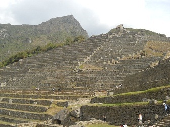 Machu Picchu, Landwirtschaftssektor
                                mit Terrassen ohne Ende - und Berge im
                                Hintergrund