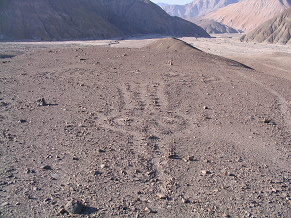 Spirale mit Szepter, Geoglyph im
                            Majes-Tal in der Provinz Arequipa, Peru