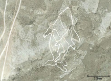 Wal mit Walbaby, Geoglyph am Ufer der
                              Lagune San Ignacio im sdlichen
                              Niederkalifornien ("Baja
                              California") in Mexiko (Koordinaten:
                              Breite 26.833338, Lnge -113.13975)
