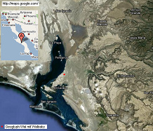 Satellitenkarte mit der Lagune San
                              Ignacio im sdlichen Niederkalifornien
                              ("Baja California") mit der
                              Position des Geoglyphen mit dem Wal und
                              dem Walbaby
