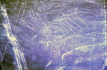 Pelikan als Geoglyph