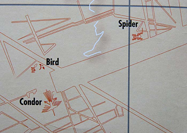 Linee di Nazca, dettaglio della mappa
                        dell'istituto con il ragno (ingl. Spider),
                        l'uccello (ingl. Bird) e il condor