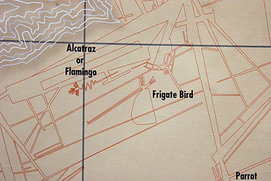 Linee di
                      Nazca, dettaglio della mappa dell'istituto con il
                      fenicottero (ingl. Flamingo) o arum o airone e con
                      l'uccello fregata (ingl. Frigate Bird).