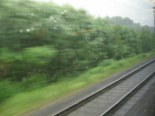 Der Zug von Winti nach Zrich
                                durchquert einen Waldstreifen