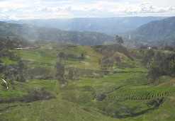 Weites Tal, Baumgestalten und
                                  Panorama
